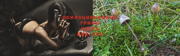 винт Пролетарск